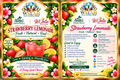 WALAH Giving Market – Haitian Pikliz, Epis, Chiktay Aransò and Tropical Fresh Juice